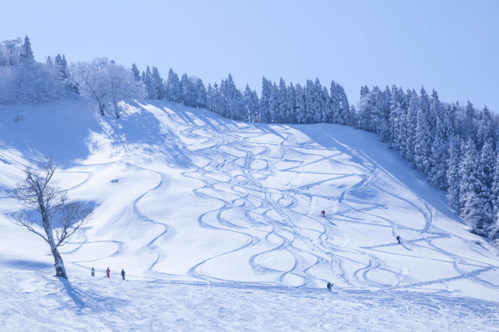 わかさ氷ノ山スキー場のゲレンデ(鳥取県若桜町)