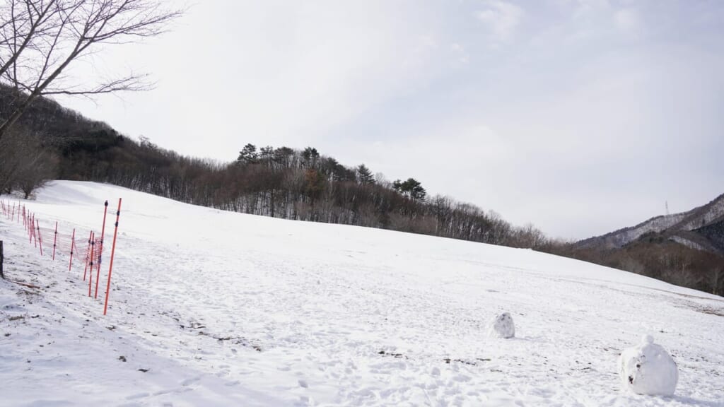 ひるぜんベアバレースキー場のゲレンデ(岡山県真庭市蒜山)
