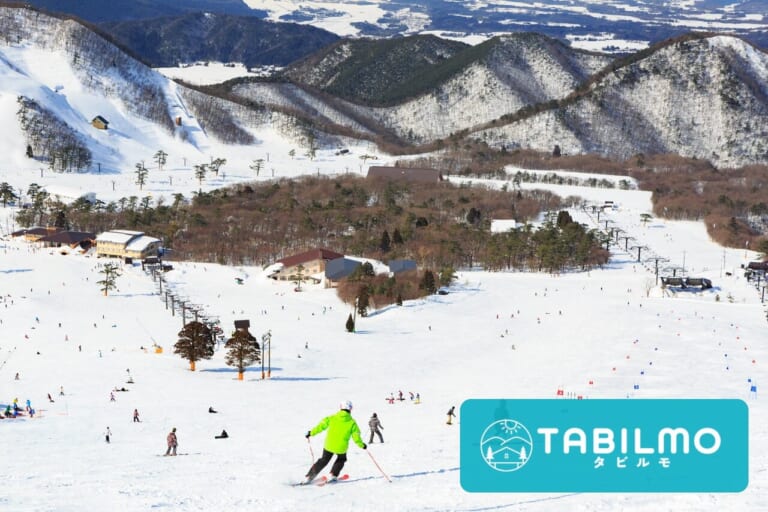 大山のゲレンデを滑るスキーヤーと雪山